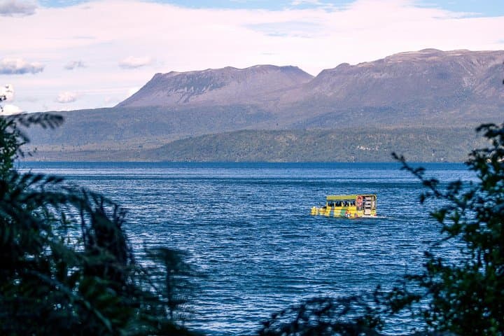 Tarawera & Rotorua Lakes Duck Cruise: Guided Amphibious Eco Tour photo 4