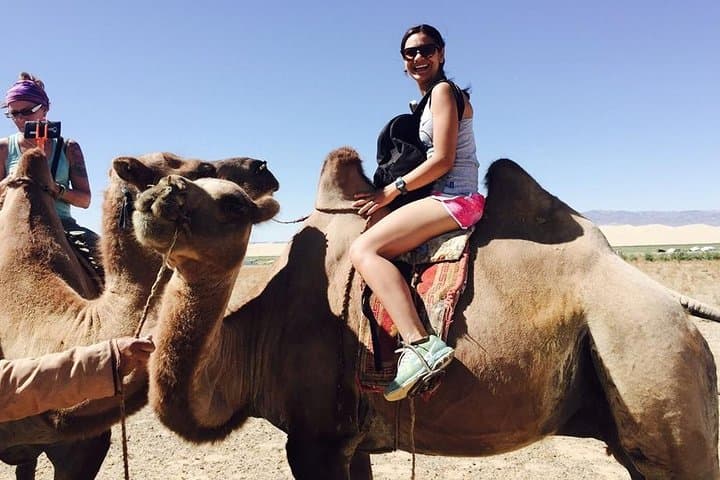 Naadam Festival & Mini Gobi: 6-Day Cultural and Desert Adventure from Ulaanbaatar photo 6