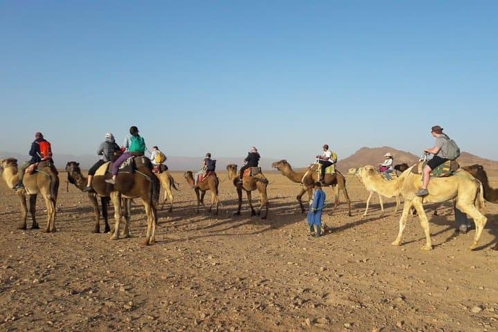 Zagora Desert Overnight: 2-Day Trip from Marrakech via Ait Benhaddou and the Draa Valley photo 4