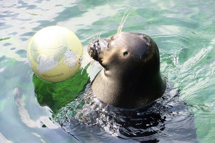 Family-Friendly Hakone: Crafts, Shrines, Aquarium & Lake Ashi Pirate Ship Cruise photo 4