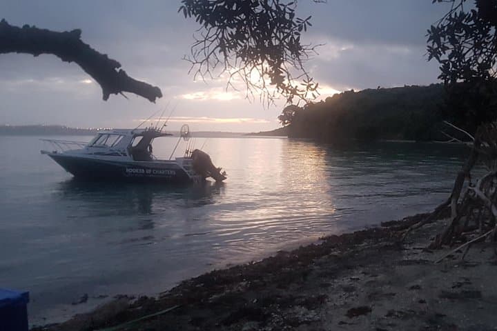 Hauraki Gulf Fishing and Sightseeing Charter from Half Moon Bay photo 2