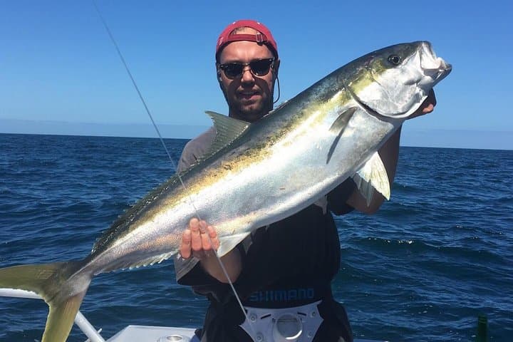 Hauraki Gulf Fishing and Sightseeing Charter from Half Moon Bay photo 4