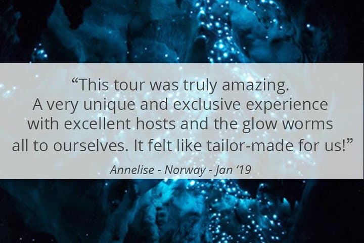 See Auckland's Secret Glow Worms: Night Walk in Auckland's Urban Bush photo 3