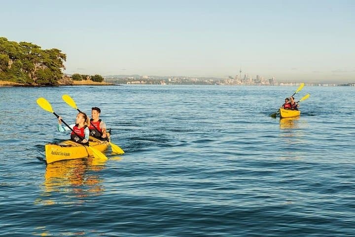 Sea Kayak to Motukorea (Browns Island) — Half-Day Hauraki Gulf Paddle