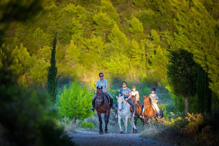 Horseback Riding in Konavle: 11km Coastal Trail with Dubrovnik Pickup photo 1