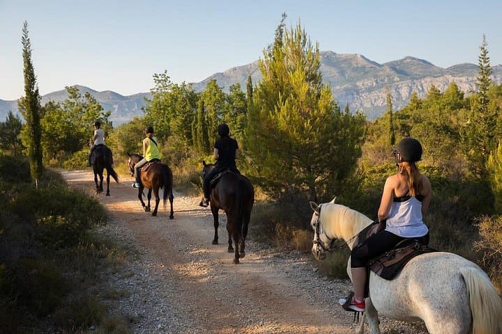 Horseback Riding in Konavle: 11km Coastal Trail with Dubrovnik Pickup photo 3