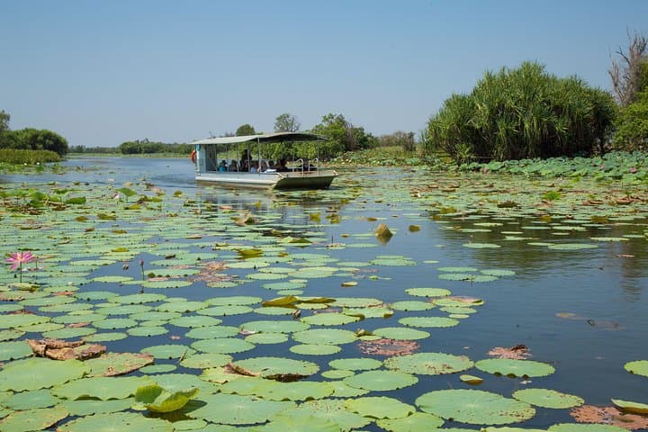 Corroboree Billabong Wetland Cruise: Mary River Crocodiles & Birds from Darwin photo 3