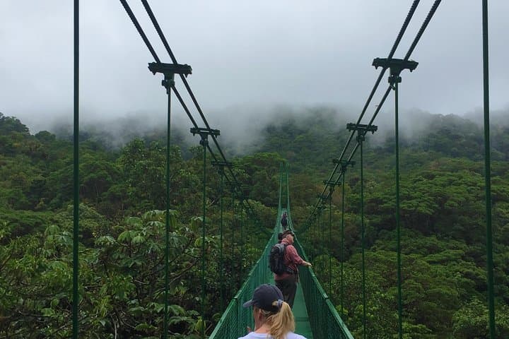 Private Monteverde Cloud Forest Tour: Hanging Bridges, Zipline & Wildlife photo 6