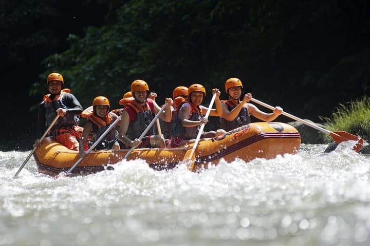 Ayung River Rafting: Ubud's Class II–III Whitewater Adventure with Transport photo 3