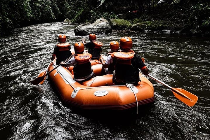 Ayung River Rafting: Ubud's Class II–III Whitewater Adventure with Transport photo 4