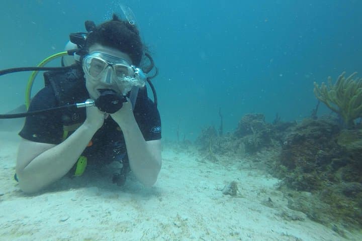 Catalina Island Scuba Diving Day Trip from Punta Cana photo 5