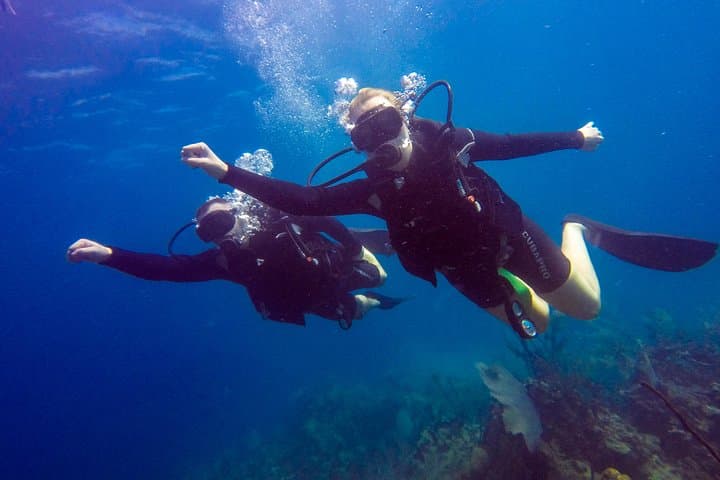 Catalina Island Scuba Diving Day Trip from Punta Cana