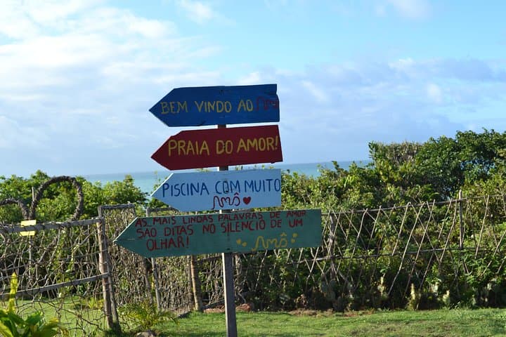 Pipa Beach Day Trip from Natal: Dolphins, Cliffs & Atlantic Forest photo 6