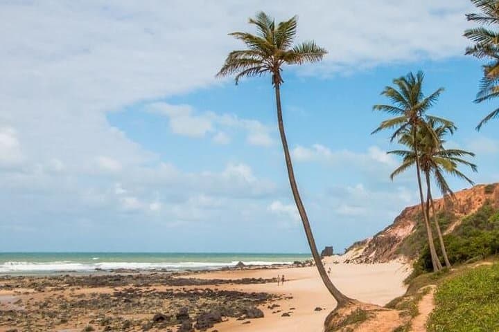 Pipa Beach Day Trip from Natal: Dolphins, Cliffs & Atlantic Forest photo 2