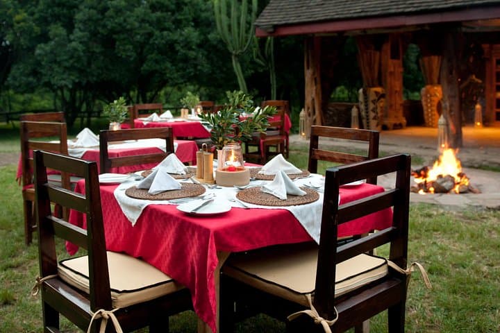 Three-Day Masai Mara Flying Safari from Diani Beach — Lodge Stays & Daily Game Drives photo 6