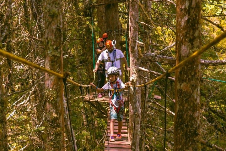 Tree-Top Circuit at Horto Florestal: 15 Crossings and a 130m Zipline in Campos do Jordão