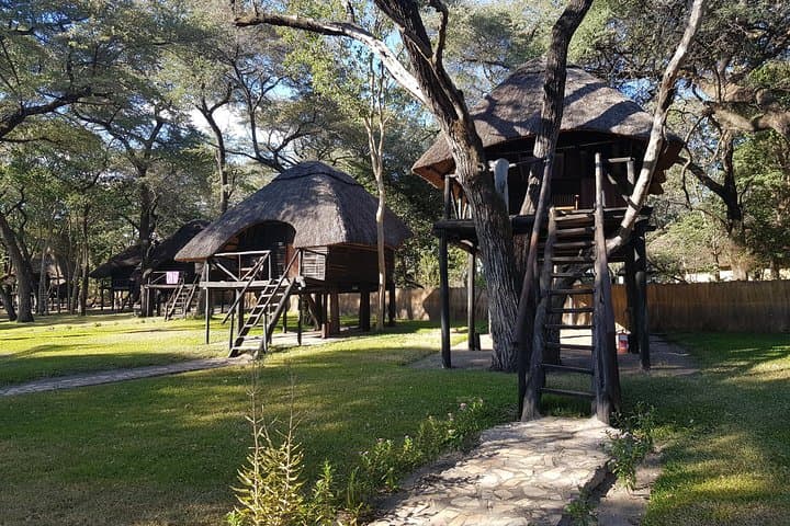 Hwange National Park Safari & Overnight from Victoria Falls photo 4