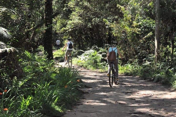 Horto Florestal Mountain Bike Rentals — Rockhopper Rides to Cachoeira Trail