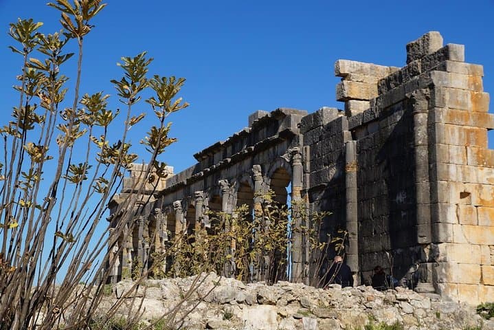 Private Day Trip from Fez to Volubilis & Meknes — Roman Ruins, Imperial Gates, and Rural Vistas photo 2