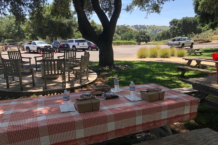 Santa Barbara Wine Lovers Tour: Full-Day Santa Ynez Valley Tasting Experience photo 5