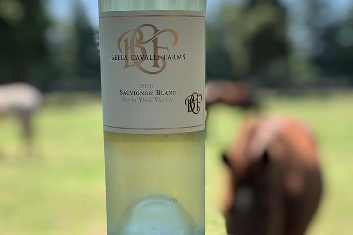 Santa Barbara Wine Lovers Tour: Full-Day Santa Ynez Valley Tasting Experience photo 6