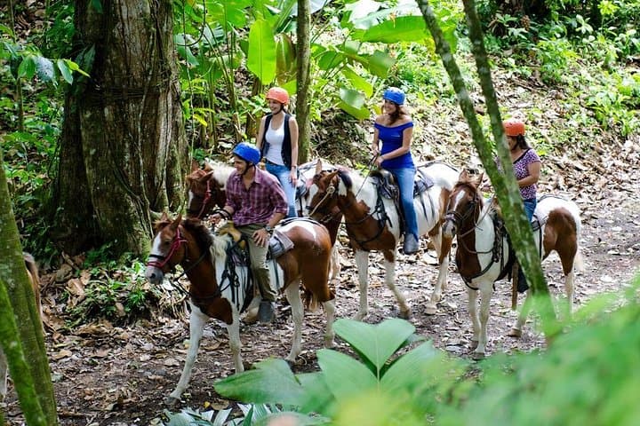 Arenal Volcano Horseback Ride through Lava Trails and Hot Springs photo 5