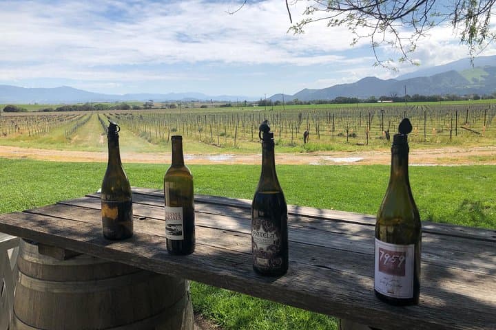 Private Wine Tour in Santa Ynez Valley — Half-Day Luxury Tasting Experience photo 3