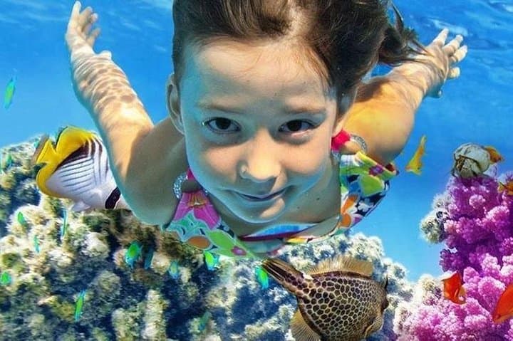 Snorkeling to Ras Mohammed National Park: Day Boat from Dahab photo 3