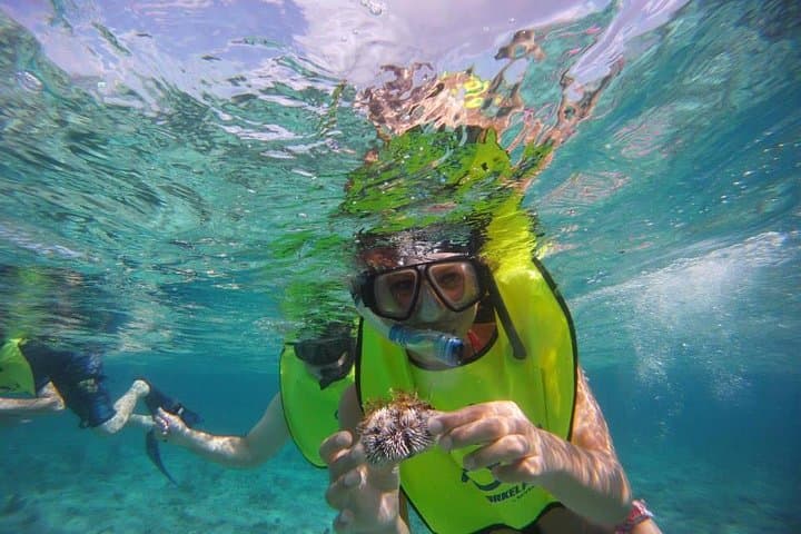 Fajardo Afternoon Snorkeling Adventure: Coral Cays & Sea Turtles photo 2