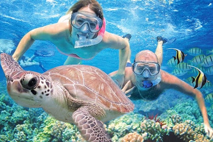 South Poipu Guided Shore Snorkel: Turtle-Spotting & Reef Ecology photo 4