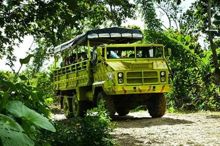 Explore the Wild Side of Punta Cana: An Unforgettable Safari Adventure photo 1