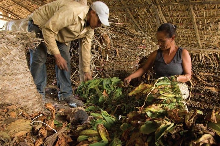 Explore Higuey: A Cultural Adventure from Punta Cana