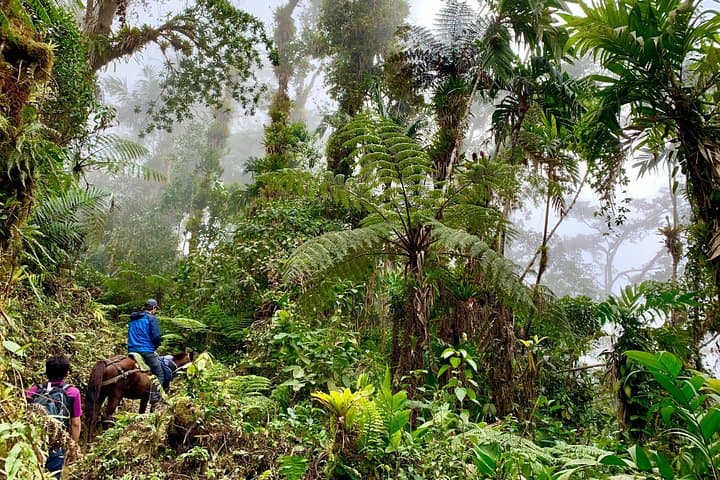 Sierra Nevada Native Expedition — 3-Day Trek, Homestays & Mountain-to-Sea Views photo 4