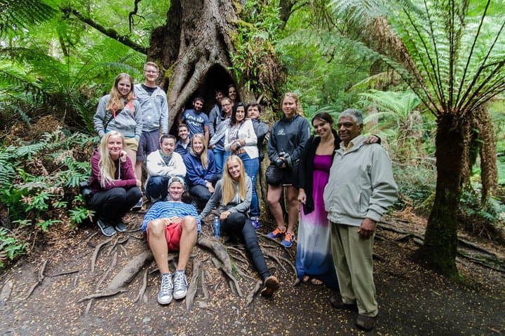 Great Ocean Road and Grampians 2-Day Escape from Melbourne photo 3