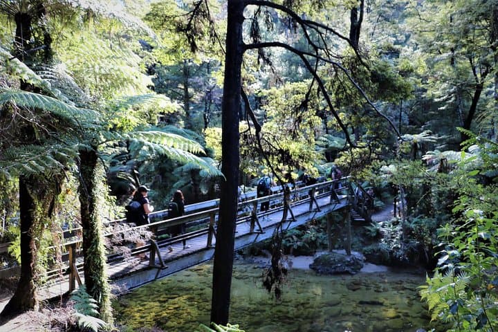 Abel Tasman 3-Day Guided Kayak and Coastal Walk from Nelson photo 6