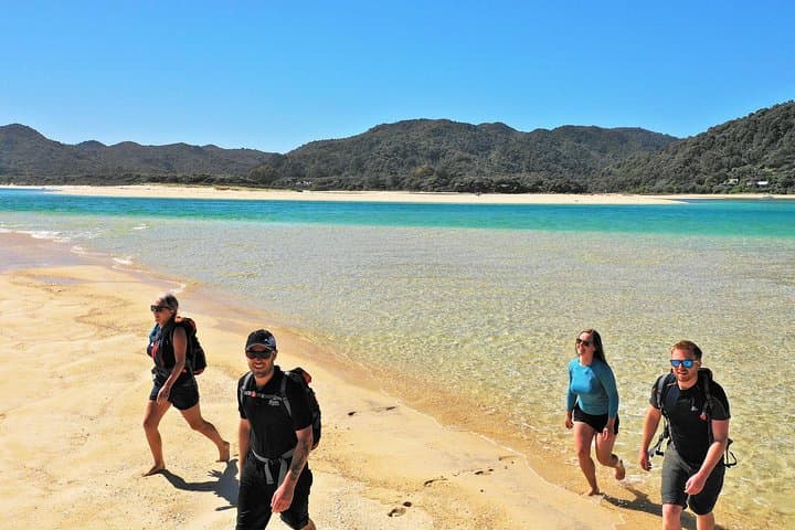 Abel Tasman 3-Day Guided Kayak and Coastal Walk from Nelson photo 4