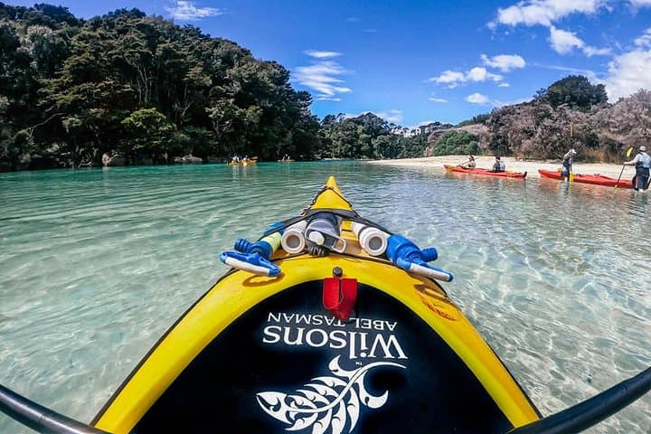 Abel Tasman 3-Day Guided Kayak and Coastal Walk from Nelson photo 5