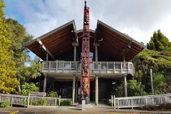 West Auckland Coast and Rainforest Eco‑Tour — Black Sand Beaches & Kauri Walks photo 2