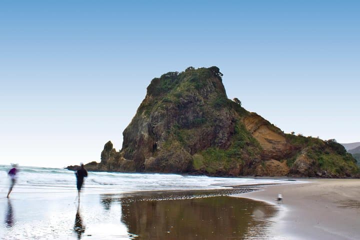 West Auckland Coast and Rainforest Eco‑Tour — Black Sand Beaches & Kauri Walks photo 5