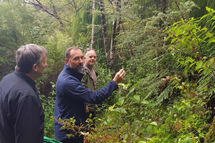 West Auckland Coast and Rainforest Eco‑Tour — Black Sand Beaches & Kauri Walks photo 4