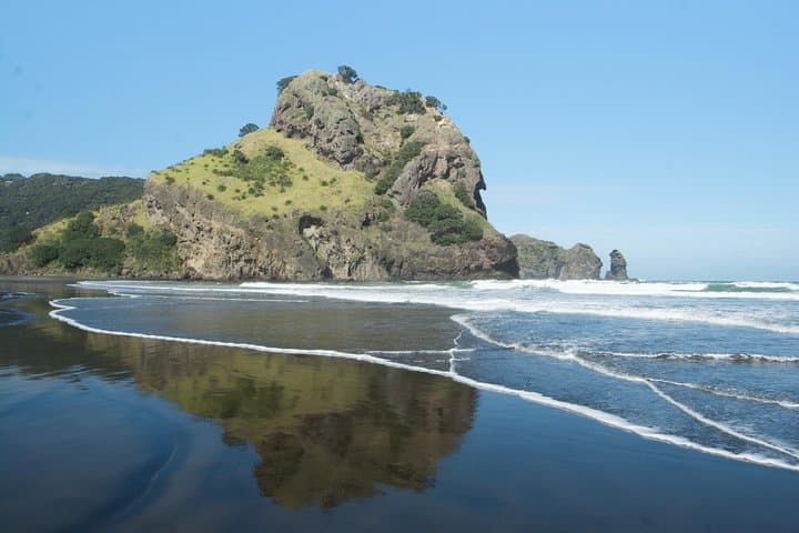 West Auckland Coast and Rainforest Eco‑Tour — Black Sand Beaches & Kauri Walks