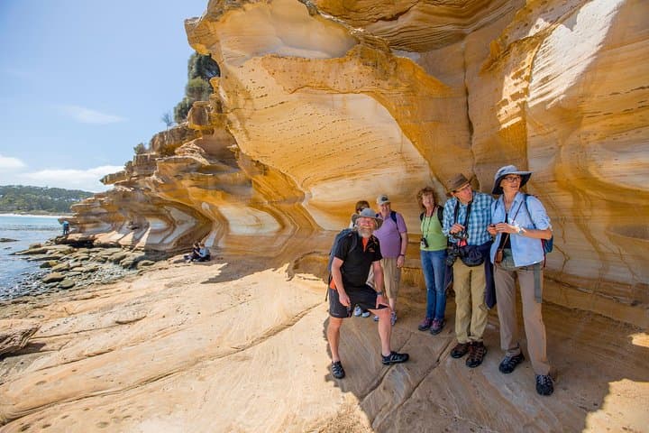 Maria Island Day Trip from Hobart: Painted Cliffs, Fossil Cliffs & Wildlife photo 5