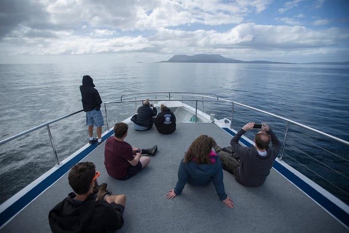 Maria Island Day Trip from Hobart: Painted Cliffs, Fossil Cliffs & Wildlife photo 4