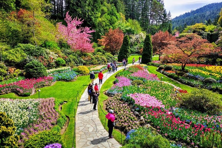 Victoria & Butchart Gardens: Deluxe City and Garden Experience photo 5