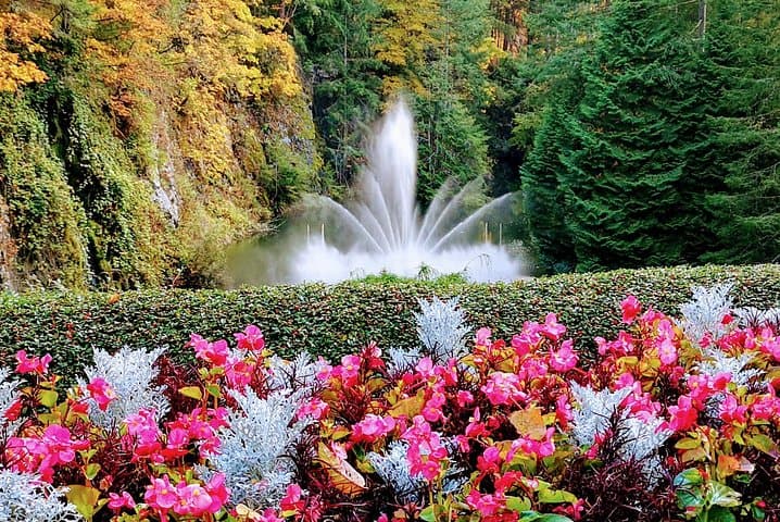 Victoria & Butchart Gardens: Deluxe City and Garden Experience