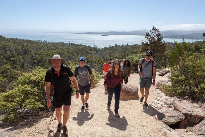 Hobart to Wineglass Bay: Freycinet National Park Active Day Tour photo 3