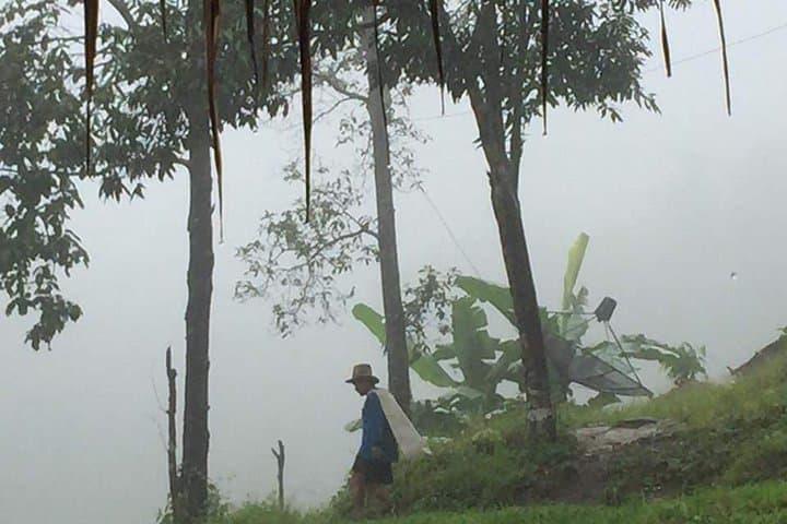 Chiang Mai Elephant Nature & Grand Canyon Jumping Day Tour photo 4