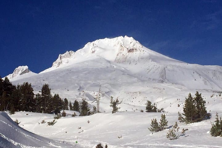 Hood-Columbia Loop: Timberline Lodge, Hood River & Multnomah Falls Day Tour photo 2