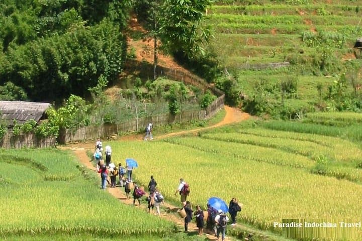 Sapa 2-Day Trek from Hanoi: Cat Cat, Lao Chai & Ta Van Rice Terrace Adventure photo 4