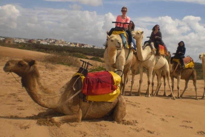 Camel Ride on Essaouira Beach: 2-Hour Dune and Atlantic Coast Experience photo 3